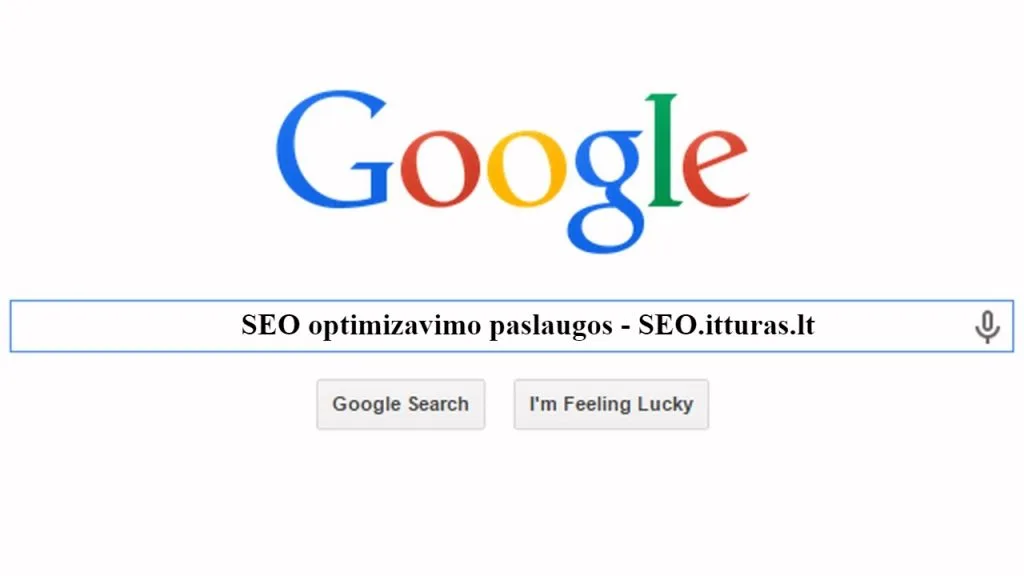 Tikros SEO paslaugos